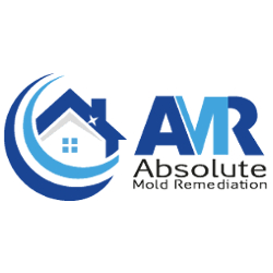 Professional Residential Mold Removal in Mississauga