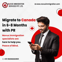 Canada Immigration Consultancy in Bangalore 