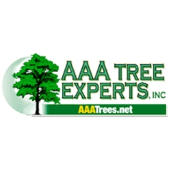 Your Local Source for Outstanding Tree Service Near Me - AAA Tree Experts