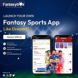Fantasy Sports App Development Services