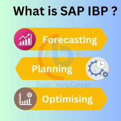  SAP IBP certification