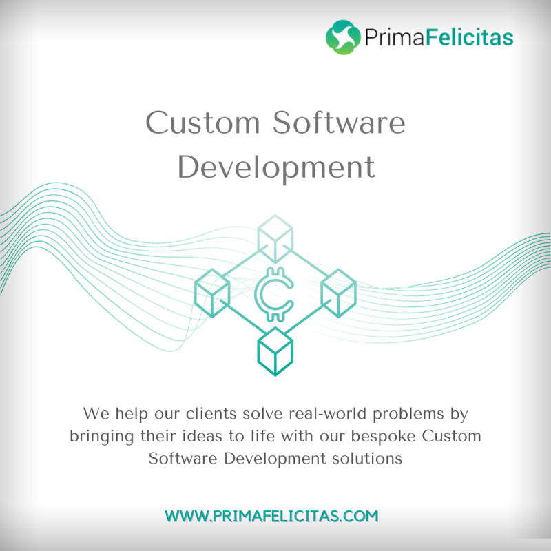 Best custom software development company in usa