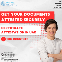 Trusted Attestation Services: Simplifying Document Verification